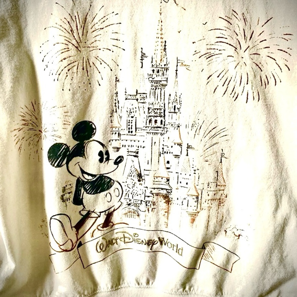 Disney Parks Mickey Mouse Cinderella Castle Hoodie Zip Up Jacket Women’s XL